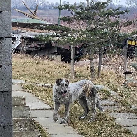 Pensiunea Agroturistica Casa Sirca Boghiş Екстериор снимка