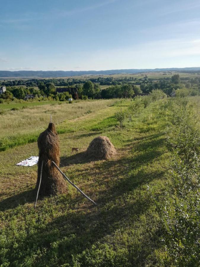 Pensiunea Agroturistica Casa Sirca Boghiş Екстериор снимка