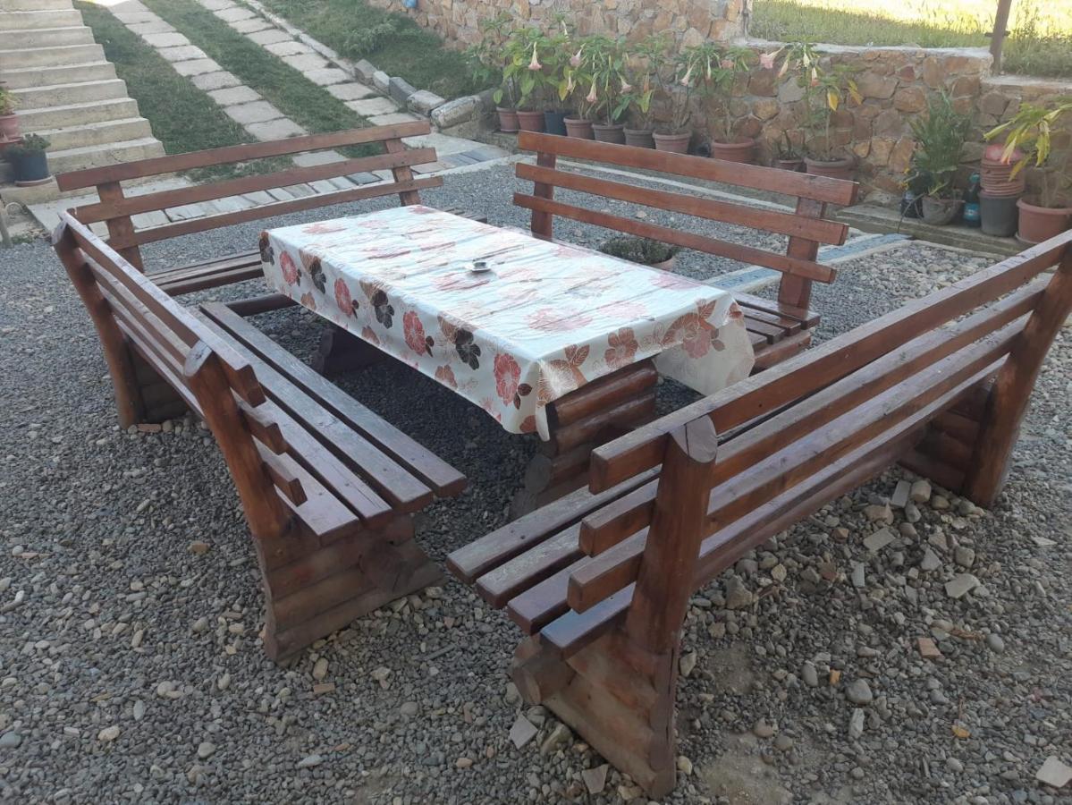 Pensiunea Agroturistica Casa Sirca Boghiş Екстериор снимка