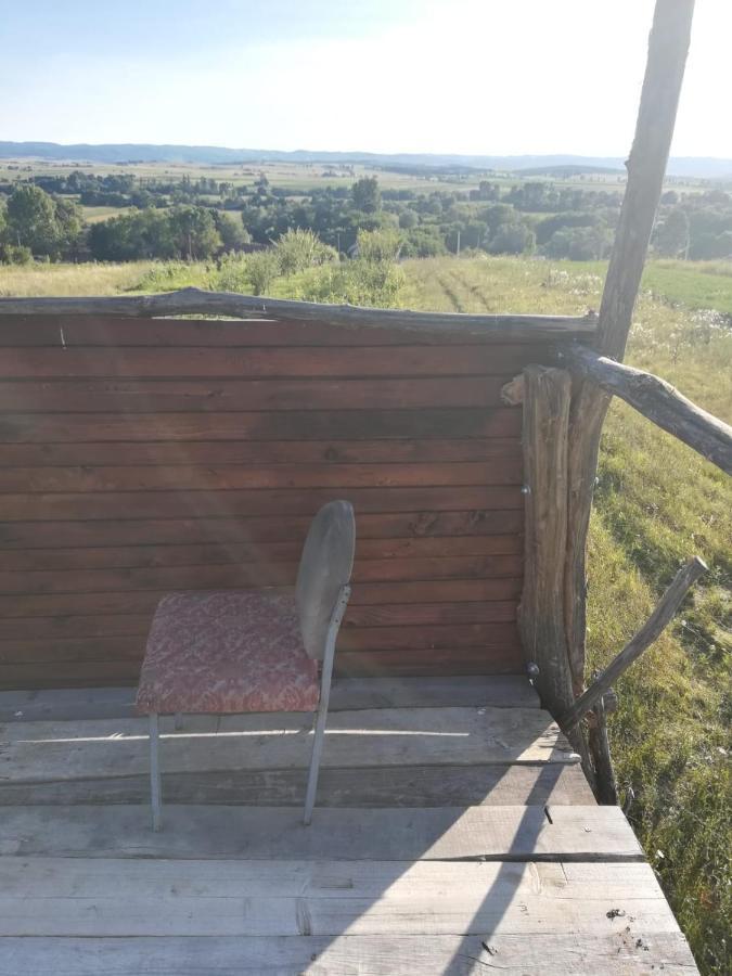 Pensiunea Agroturistica Casa Sirca Boghiş Екстериор снимка