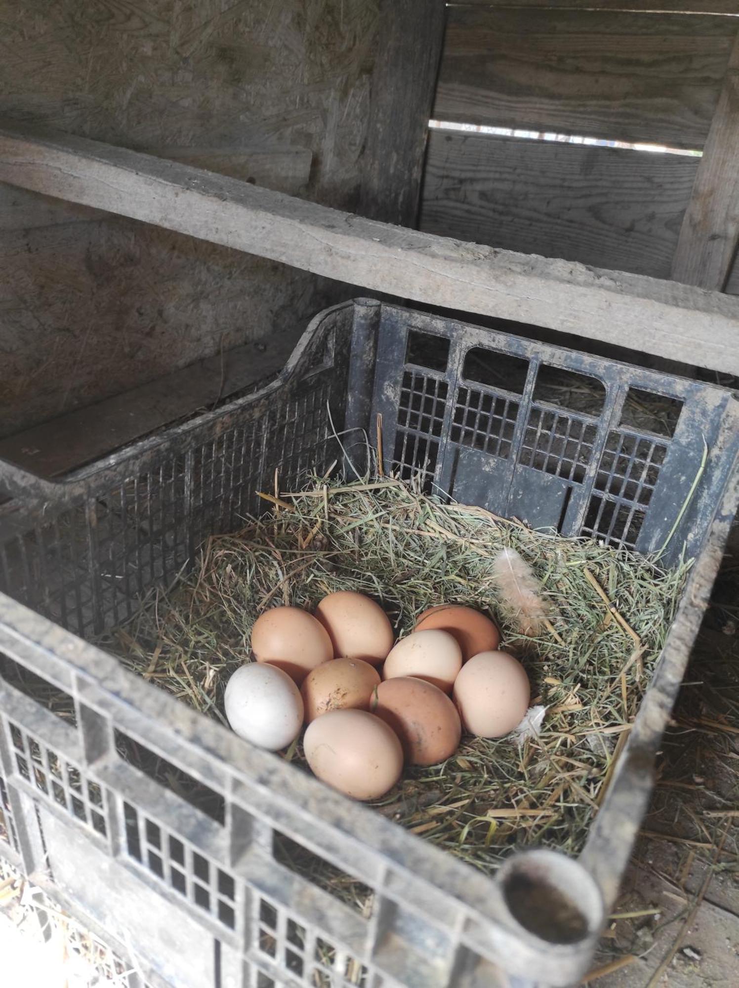 Pensiunea Agroturistica Casa Sirca Boghiş Екстериор снимка